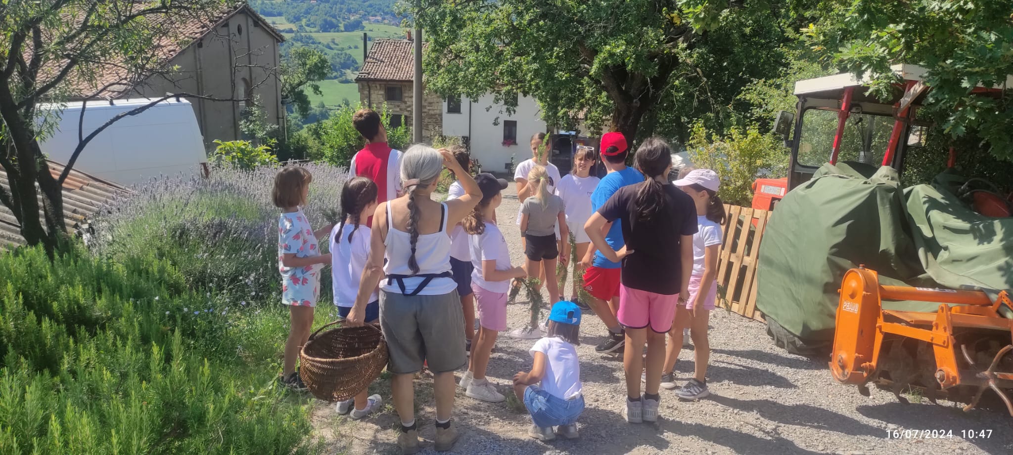 Immagine WhatsApp 2025-05-19 ore 18.45.02_c3a11f97