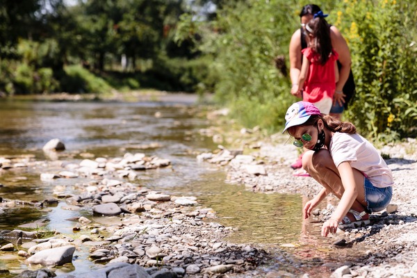 Centro estivo 2020 14 1 1